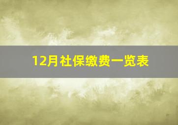 12月社保缴费一览表