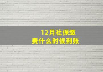 12月社保缴费什么时候到账