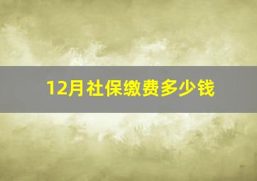 12月社保缴费多少钱