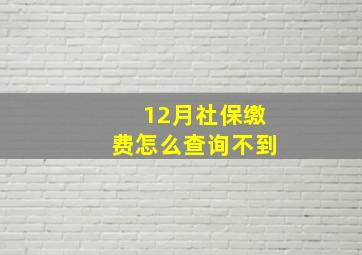 12月社保缴费怎么查询不到