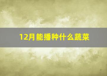 12月能播种什么蔬菜