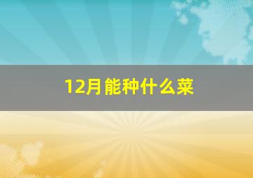 12月能种什么菜