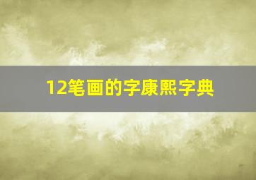 12笔画的字康熙字典