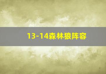 13-14森林狼阵容