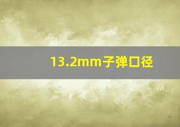 13.2mm子弹口径