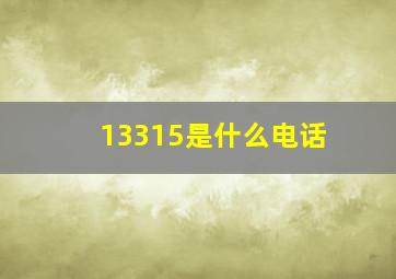 13315是什么电话