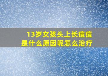 13岁女孩头上长痘痘是什么原因呢怎么治疗