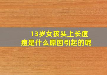 13岁女孩头上长痘痘是什么原因引起的呢