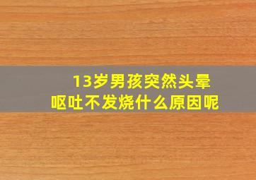 13岁男孩突然头晕呕吐不发烧什么原因呢