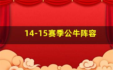 14-15赛季公牛阵容