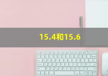 15.4和15.6