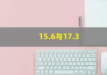 15.6与17.3