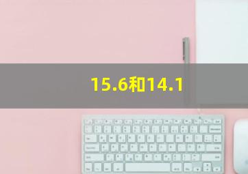 15.6和14.1