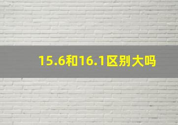 15.6和16.1区别大吗