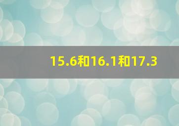 15.6和16.1和17.3