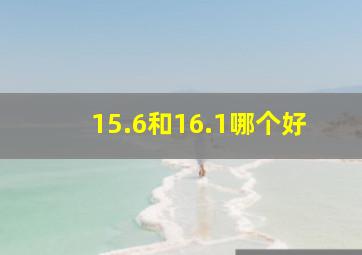 15.6和16.1哪个好