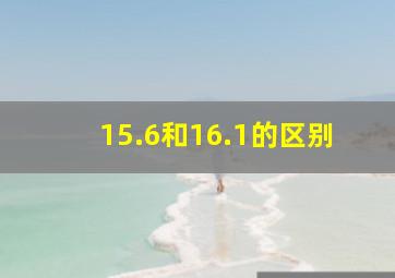 15.6和16.1的区别