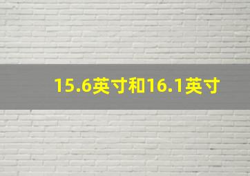 15.6英寸和16.1英寸