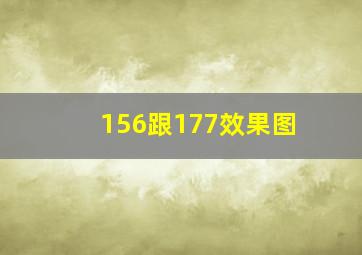 156跟177效果图