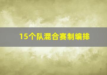 15个队混合赛制编排