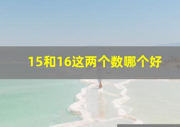 15和16这两个数哪个好