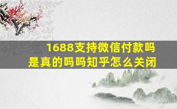 1688支持微信付款吗是真的吗吗知乎怎么关闭