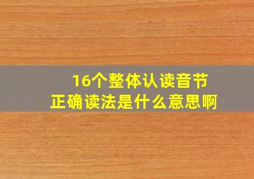 16个整体认读音节正确读法是什么意思啊