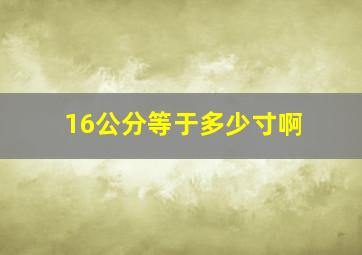 16公分等于多少寸啊