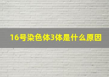 16号染色体3体是什么原因