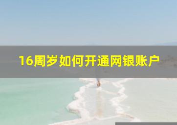 16周岁如何开通网银账户