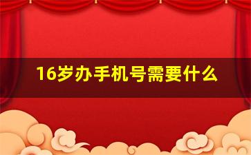 16岁办手机号需要什么