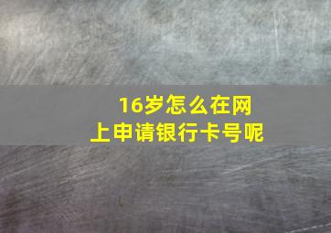 16岁怎么在网上申请银行卡号呢