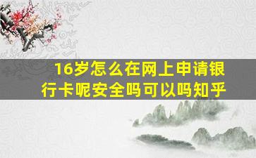 16岁怎么在网上申请银行卡呢安全吗可以吗知乎