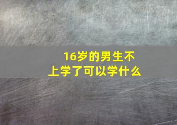 16岁的男生不上学了可以学什么