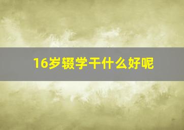 16岁辍学干什么好呢