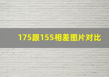 175跟155相差图片对比