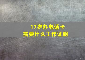 17岁办电话卡需要什么工作证明