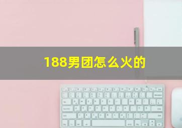 188男团怎么火的