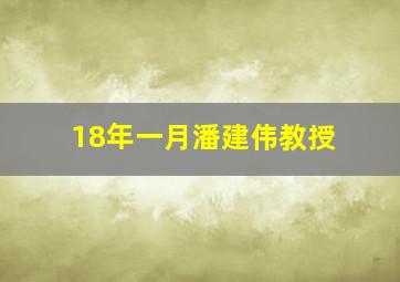 18年一月潘建伟教授