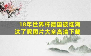 18年世界杯德国被谁淘汰了呢图片大全高清下载