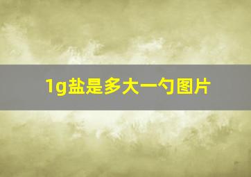 1g盐是多大一勺图片