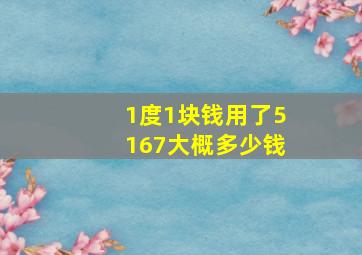 1度1块钱用了5167大概多少钱