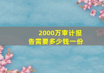 2000万审计报告需要多少钱一份