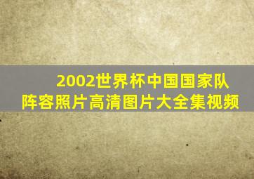 2002世界杯中国国家队阵容照片高清图片大全集视频