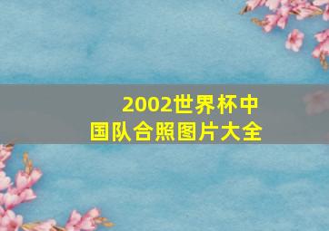 2002世界杯中国队合照图片大全