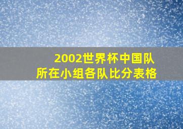 2002世界杯中国队所在小组各队比分表格