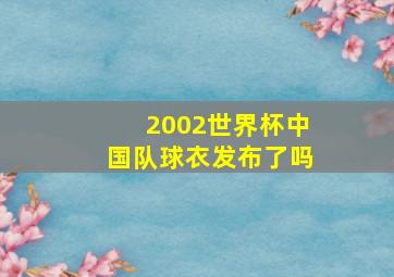 2002世界杯中国队球衣发布了吗