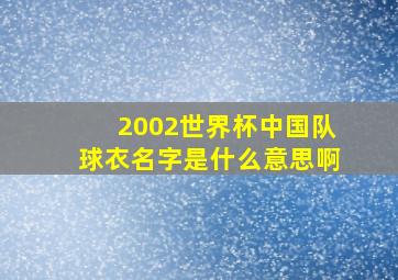 2002世界杯中国队球衣名字是什么意思啊