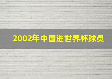 2002年中国进世界杯球员