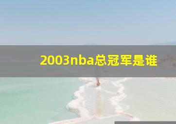 2003nba总冠军是谁